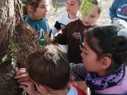 ColoursOfMyParkESP (4)